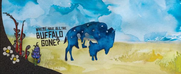 Where Have All the Buffalo Gone? Where Have All the Buffalo Gone?