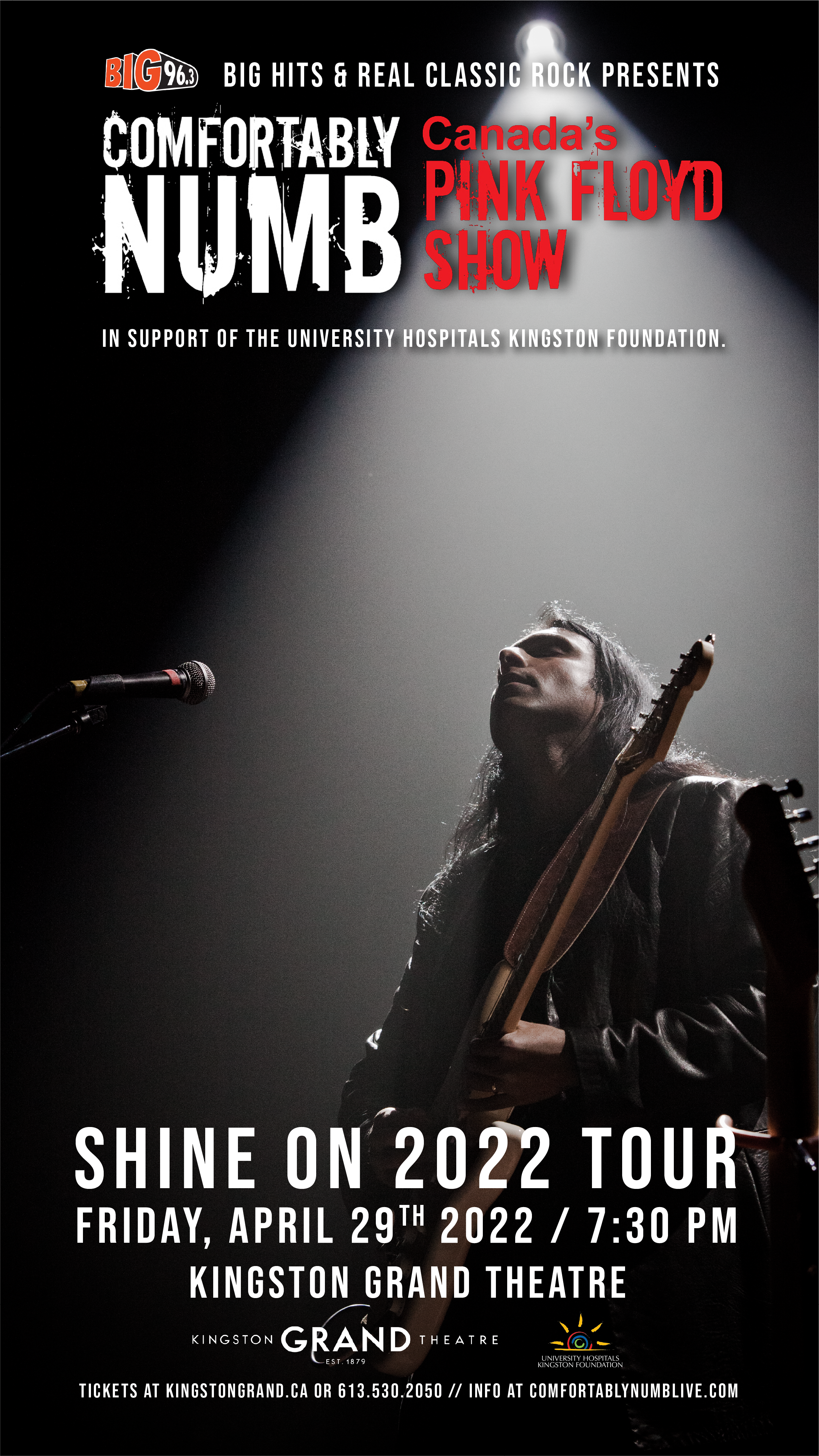Comfortably Numb - Canada's Pink Floyd Show: SHINE ON TOUR 2022 Performer on stage with a guitar
