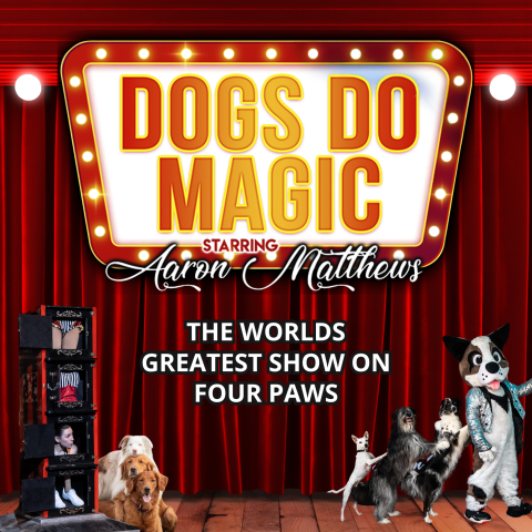 Promotional poster for Dogs Do Magic starring Aaron Matthews, featuring performing dogs, a dog mascot, a magic illusion box, and the tagline “The World’s Greatest Show on Four Paws” on a red theater stage backdrop.