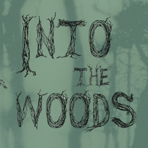 Text “Into the Woods” in a branch-like font on a muted green forest background with shadowy trees.