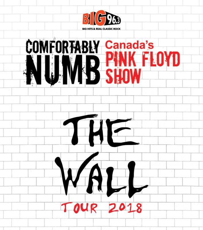 Comfortably Numb The Wall Tour 2018 Kingston Grand Theatre