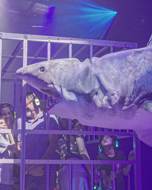 shark with blue in the background and a cage