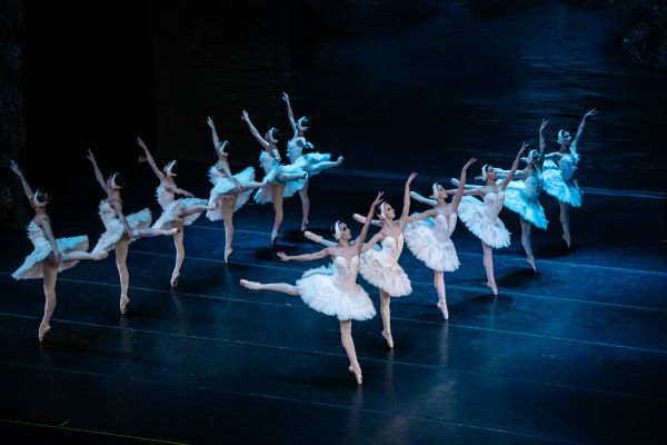 two rows of ballet dancers