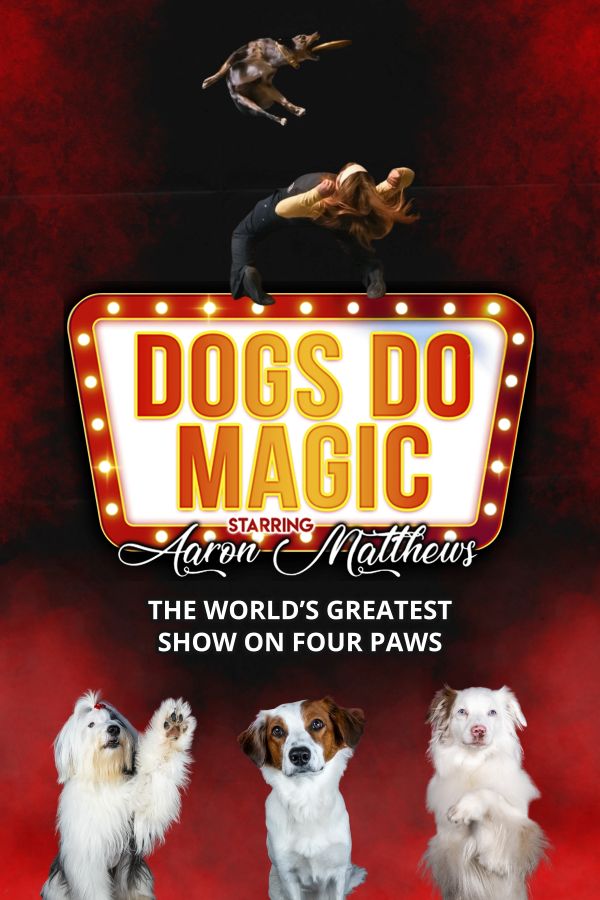 Promotional poster for Dogs Do Magic, featuring a performer arching backward beneath a jumping dog catching a flying disc, with three dogs posed below and the text: “Dogs Do Magic starring Aaron Matthews – The World’s Greatest Show on Four Paws.”