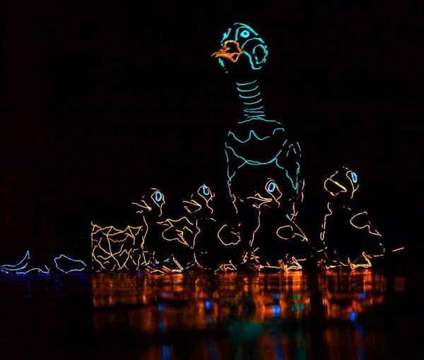 Glowing images of a mother duck and ducklings